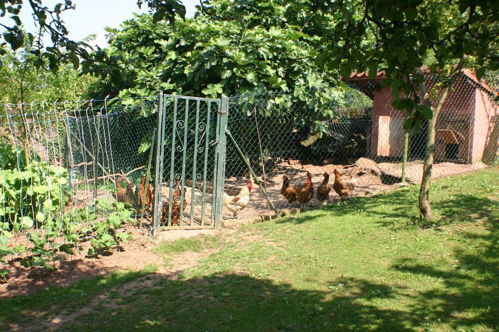 Country house Fonte San Pedrin Cajide